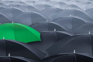 black umbrellas with one green one
