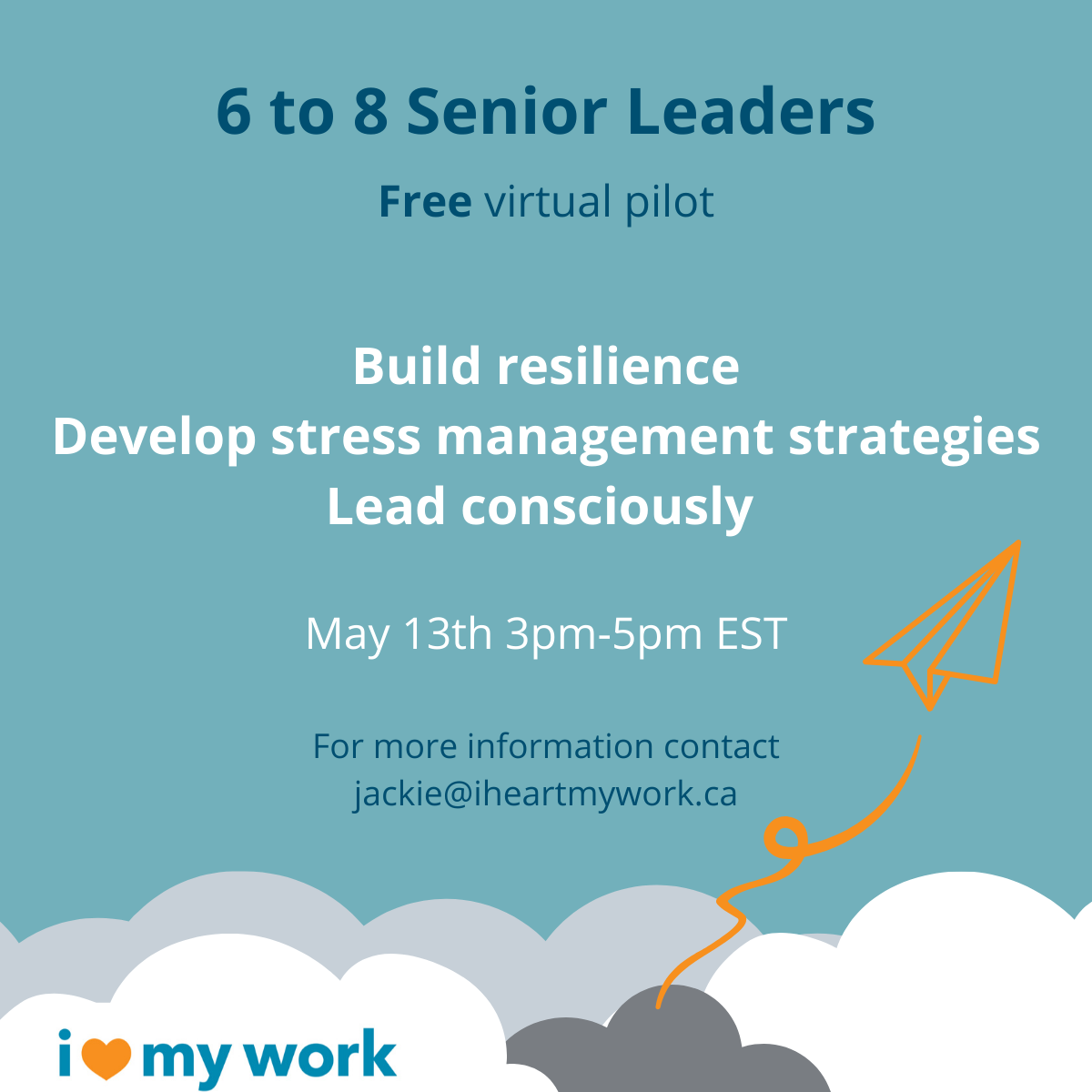 Senior Leader Pilot Ad